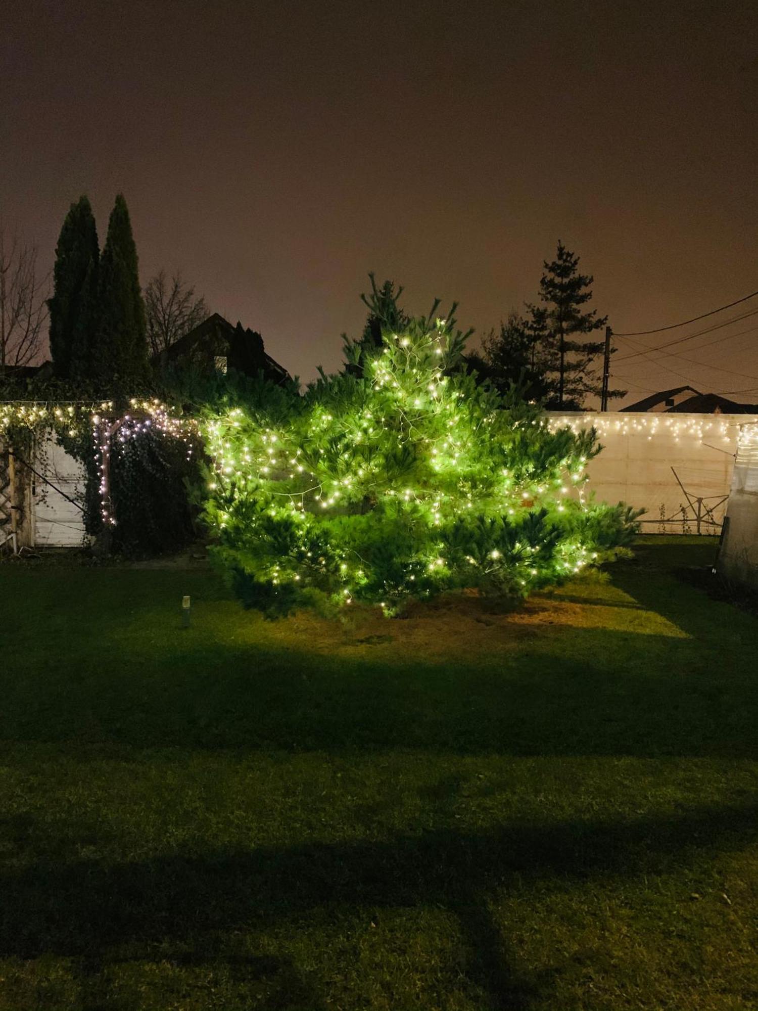 Villa Umberti Sibiu Bagian luar foto