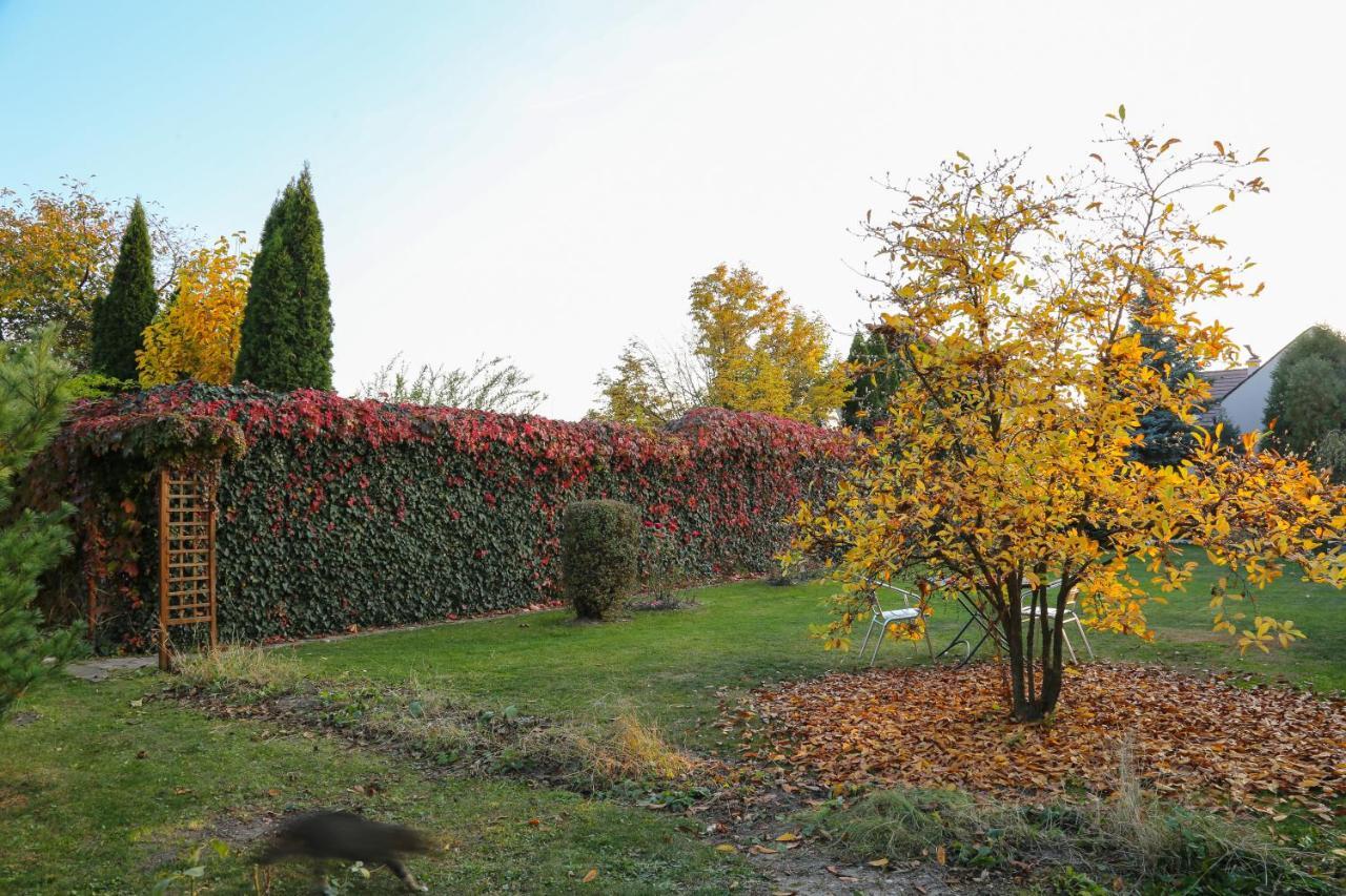 Villa Umberti Sibiu Bagian luar foto